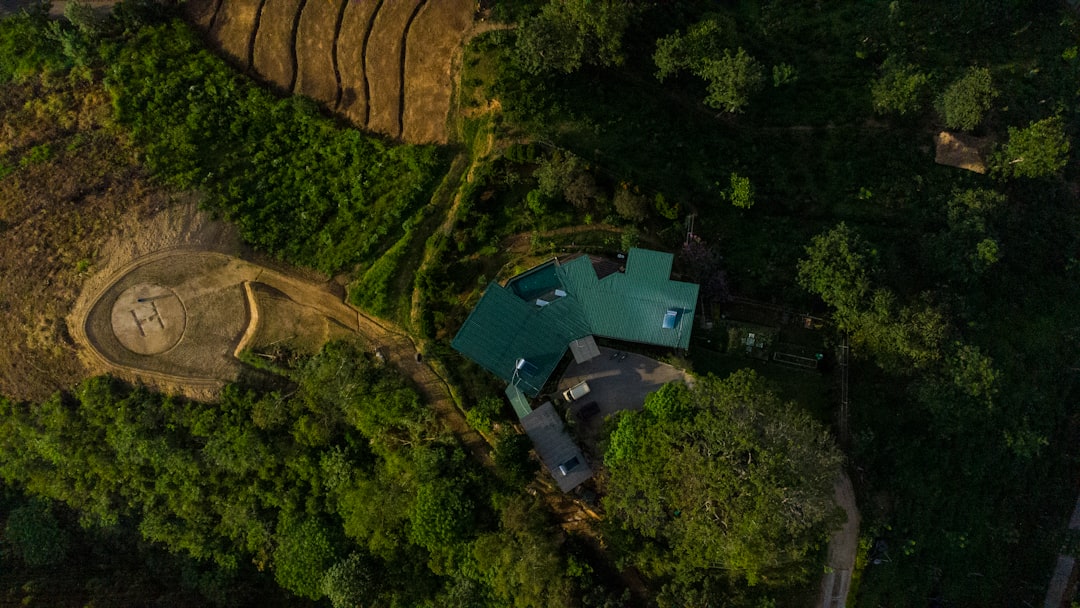 Aerial view of a neighborhood with rows of identical houses, where one house stands out with a unique color and design, sy...